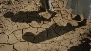 Afghanistans Challenges To Combat Desertification And Drought 300x169