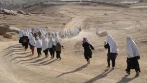 International Womens Day Celebration A Tribute To The Fight Of Women And Girls In Afghanistan 300x169