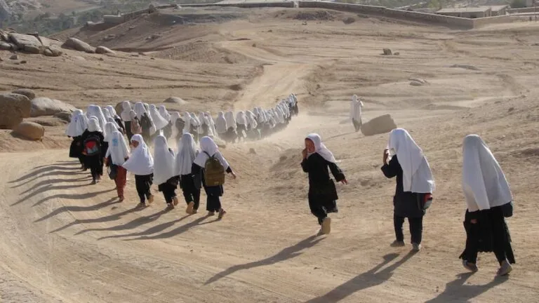 International Womens Day Celebration A Tribute To The Fight Of Women And Girls In Afghanistan 768x432