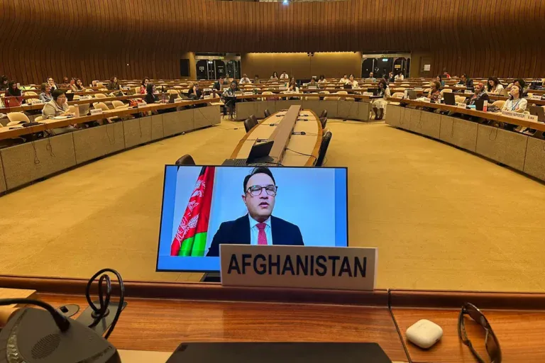 Cedaw Statement On Article 13 Economic And Social Empowerment By Ambassador Waissi 768x512