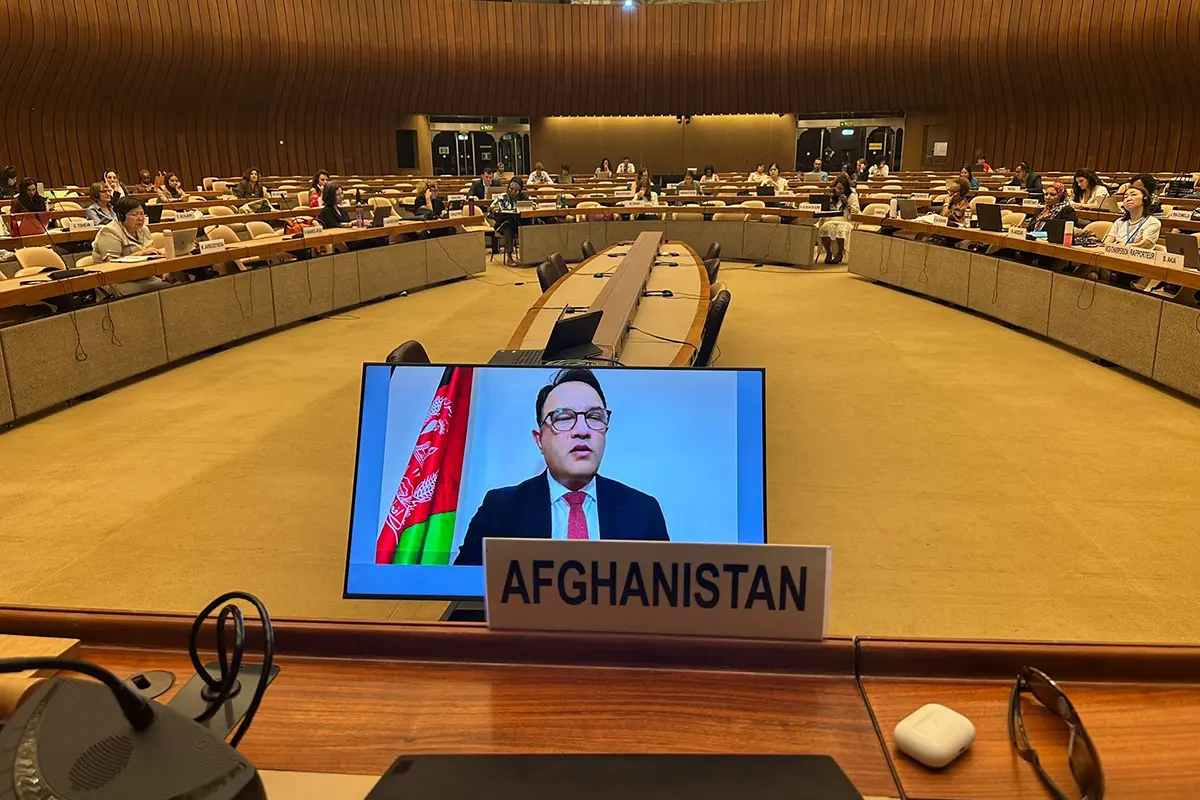 Cedaw Statement On Article 13 Economic And Social Empowerment By Ambassador Waissi