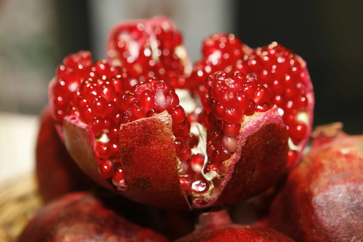 Yaldā/Chella become New inscription on the UNESCO's Intangible Heritage List Yalda Chella Become New Inscription On The Unescos Intangible Heritage List 300x200